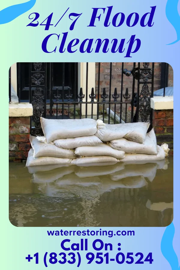 24/7 Flood Cleanup in Grantfork, IL