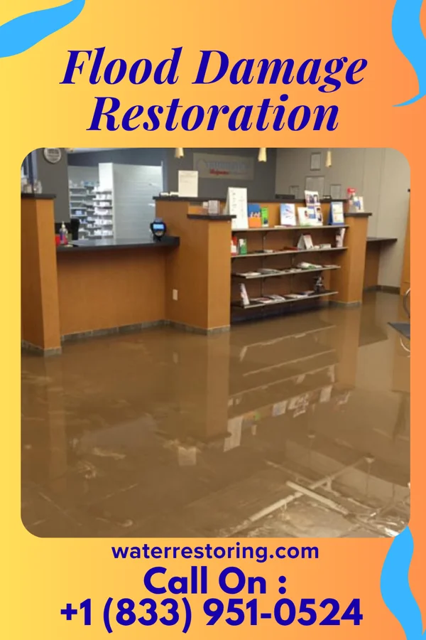 Flood Damage Restoration in Grantfork, IL