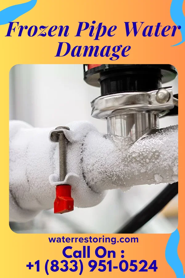 Frozen Pipe Water Damage in Grantfork, IL