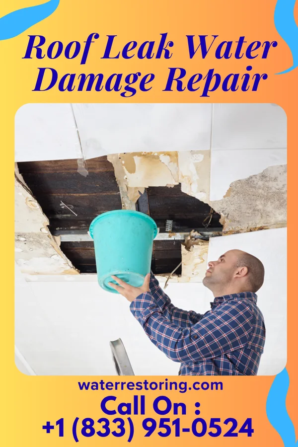 Roof Leak Water Damage Repair in Grantfork, IL