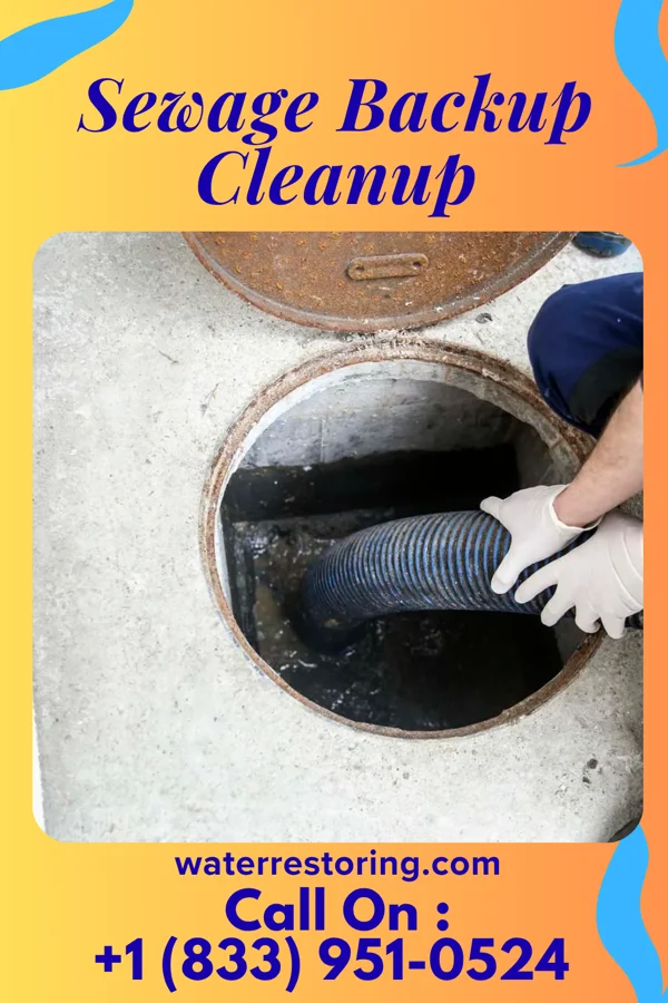Sewage Backup Cleanup in Grantfork, IL