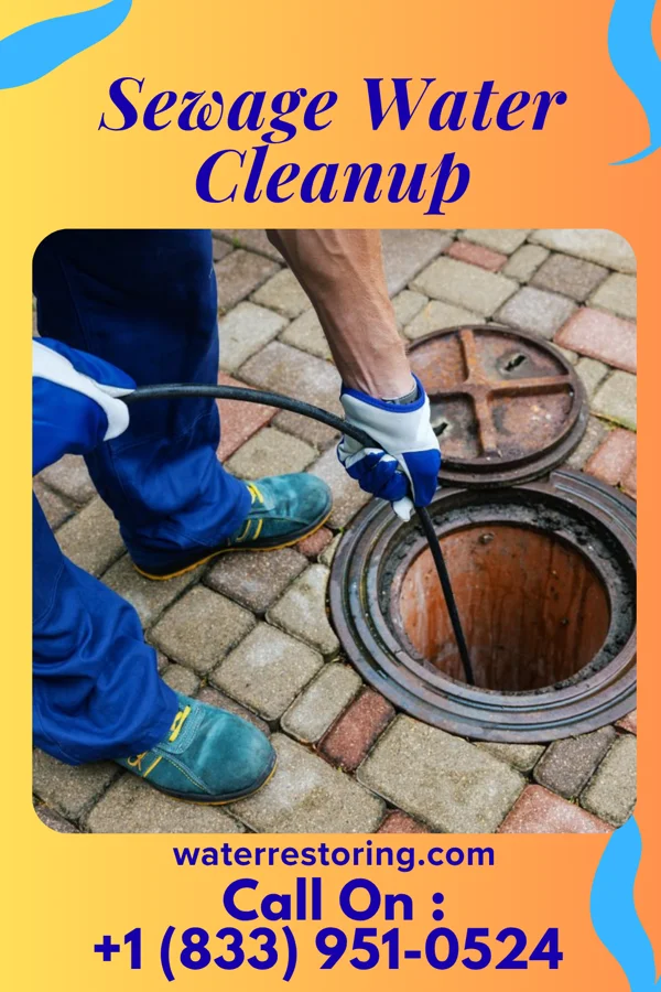 Sewage Water Cleanup in Grantfork, IL