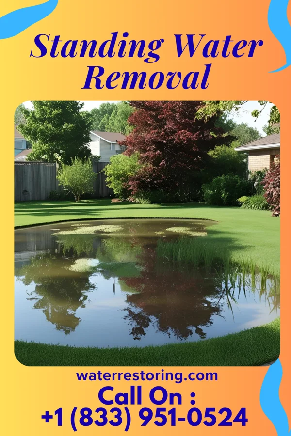 Standing Water Removal in Grantfork, IL